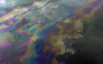 Pollution Pollution