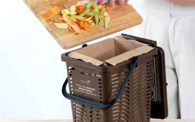 illustration Bioseau_freepik